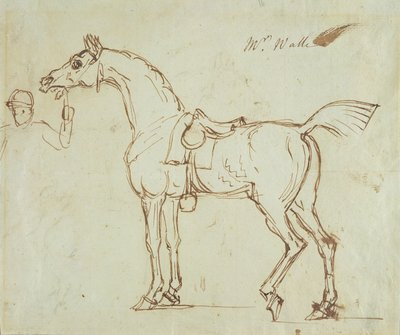 A Racehorse, Bridled and Saddled by James Seymour
